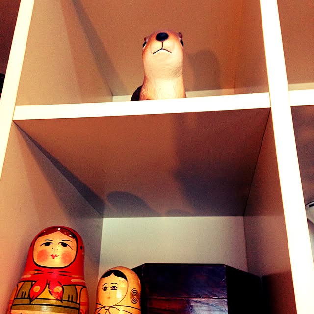 minicoさんの実例写真