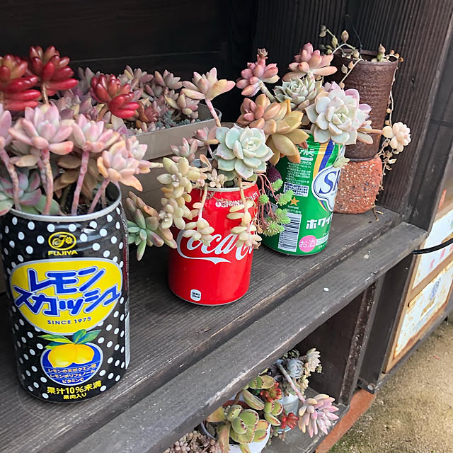 canmilmamaさんの実例写真