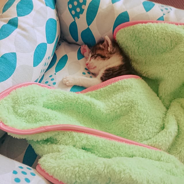 kiraさんの実例写真
