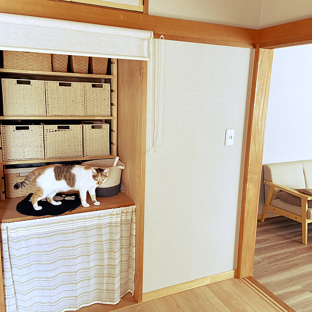miwaさんの実例写真