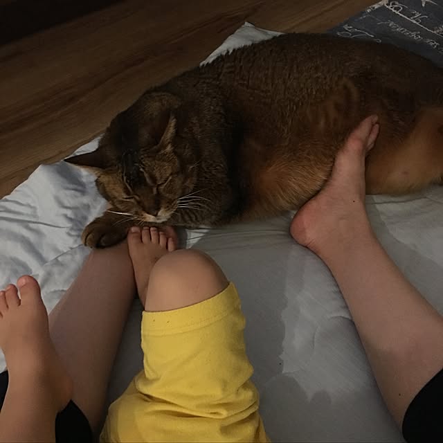 muuさんの実例写真