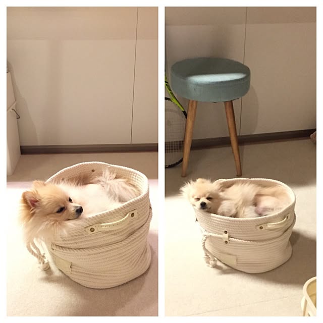 akkoさんの実例写真