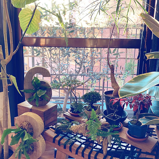s.p.sunaoさんの部屋