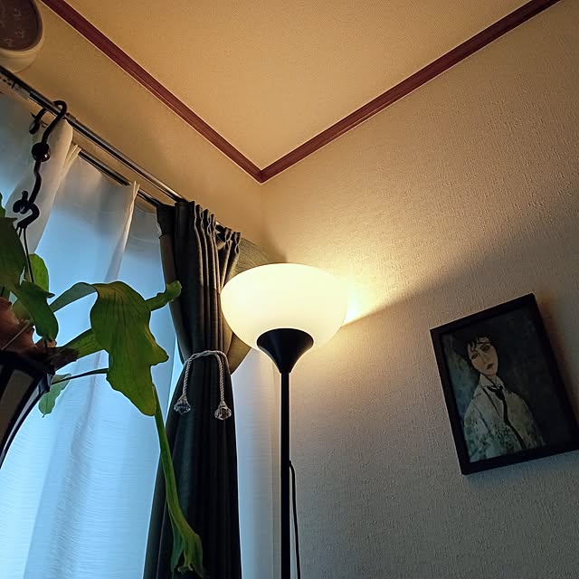 moruさんの部屋