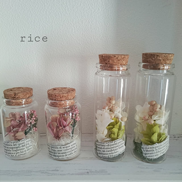 riceさんの実例写真