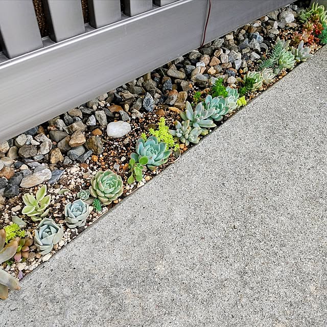 meiさんの実例写真