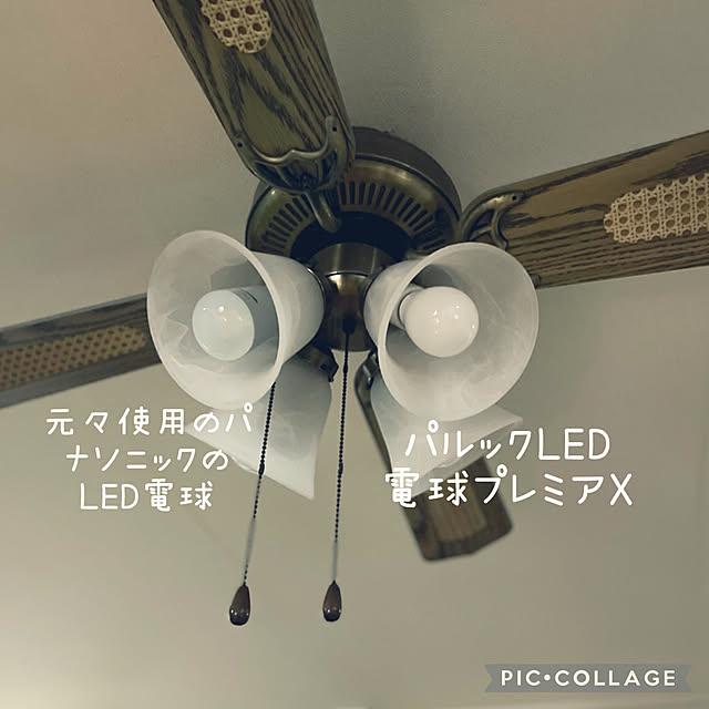 izuさんの実例写真