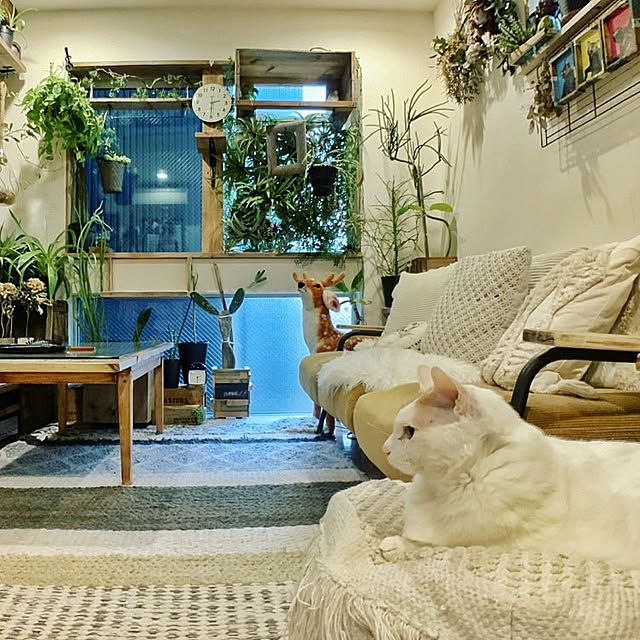 ugさんの実例写真