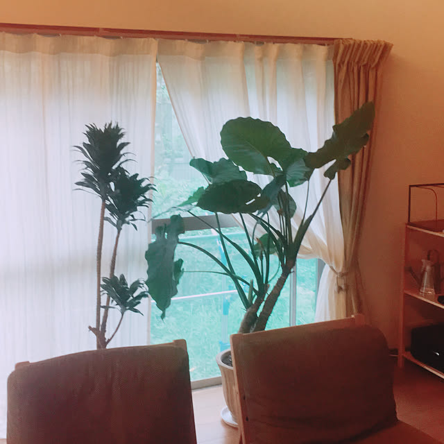 yuuno1106さんの実例写真