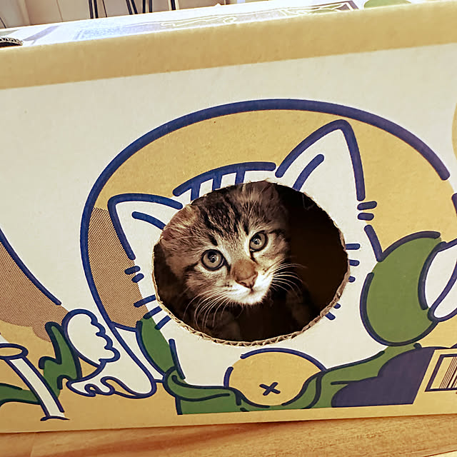 lemonadeさんの部屋