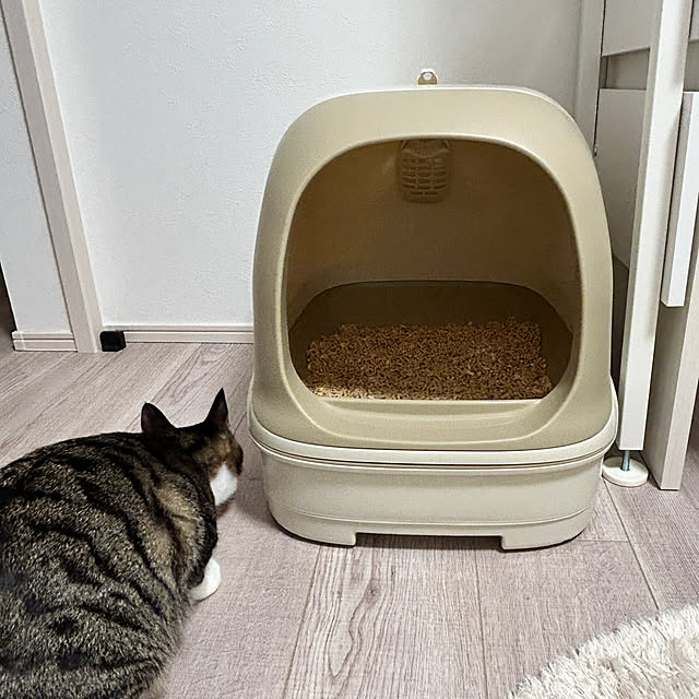 mocaさんの部屋