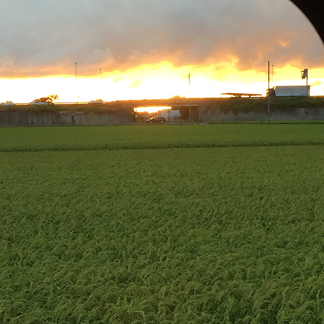 実例写真