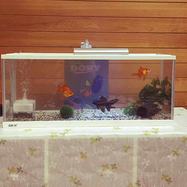38さんの実例写真