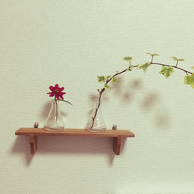 Michikoさんの実例写真