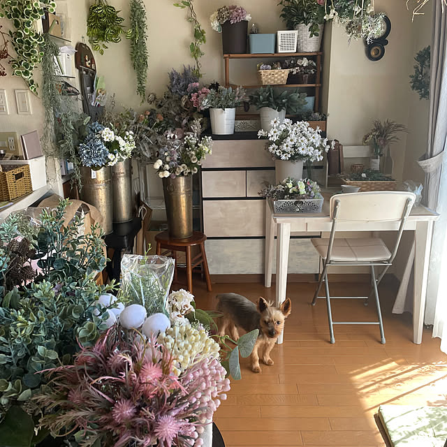 atelier_canonさんの部屋