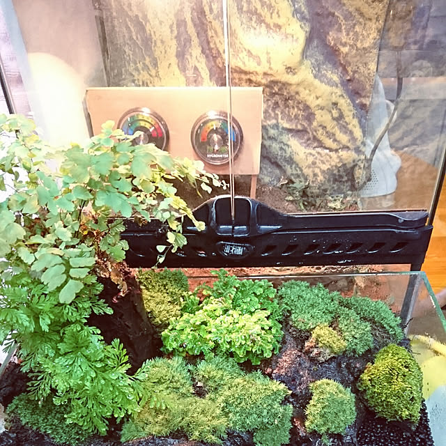 hiro4649さんの実例写真