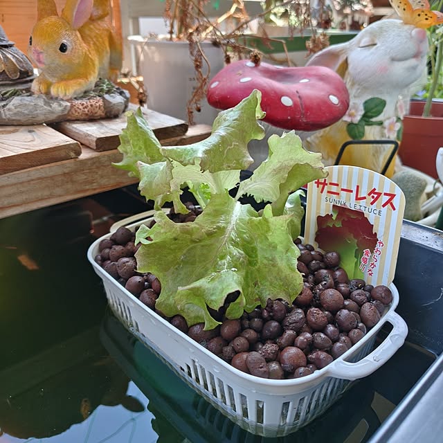 mariaさんの部屋