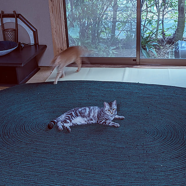 uchizukonyanさんの実例写真