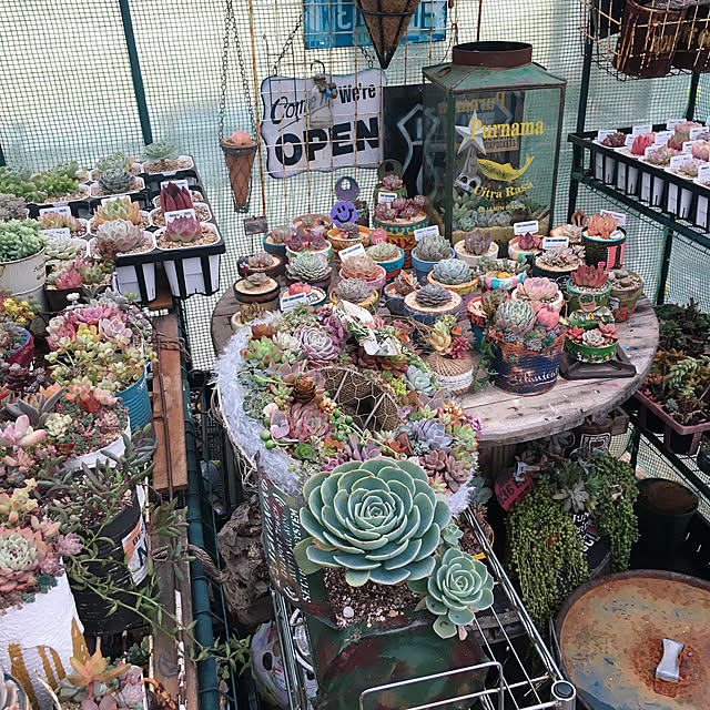bon-bon-hippieさんの実例写真