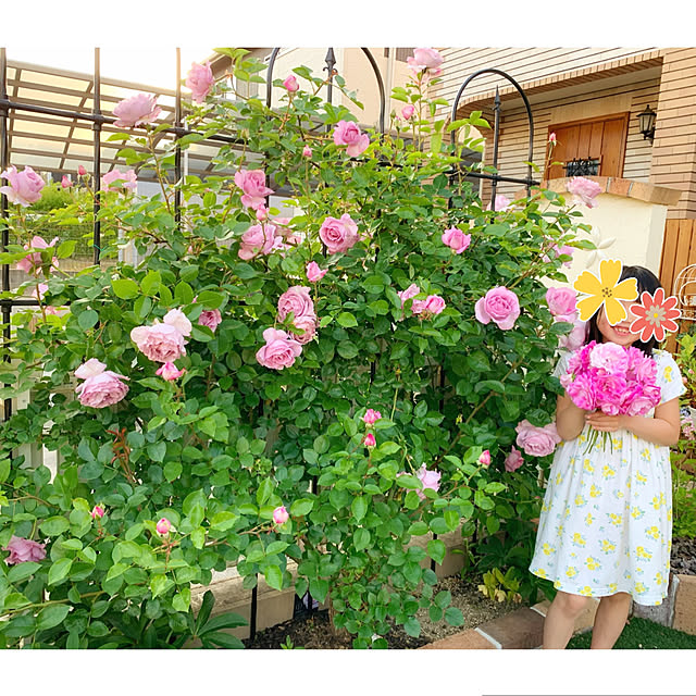 Michiさんの実例写真