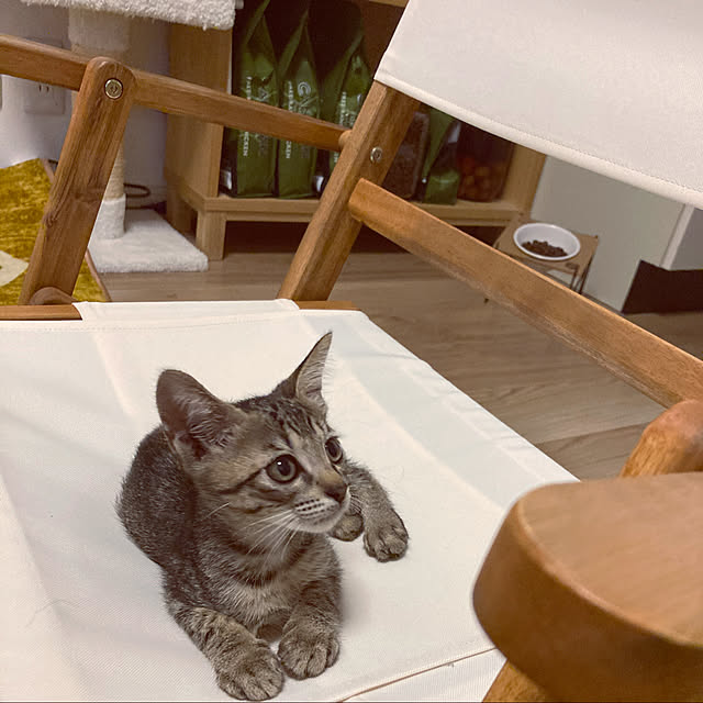 masamasaさんの実例写真