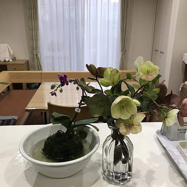 実例写真