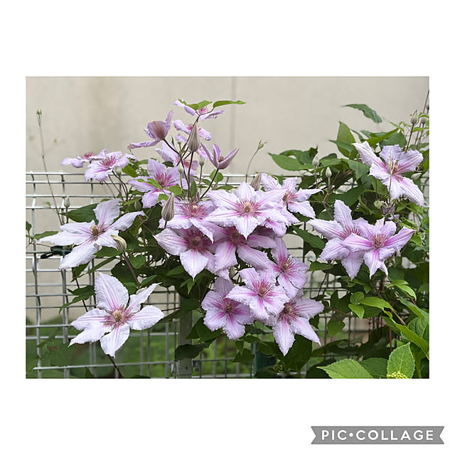 CoCo0617さんの部屋