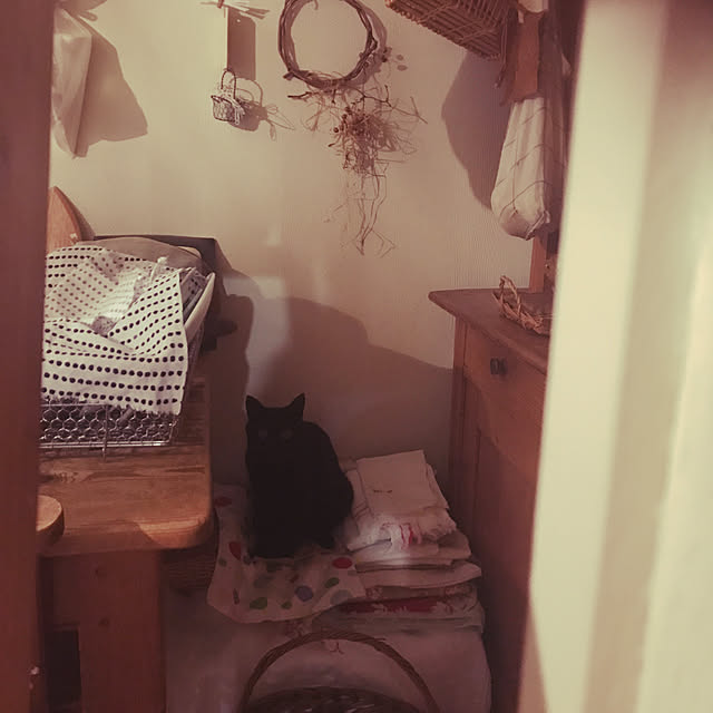 neko-2.2.2runmuさんの実例写真