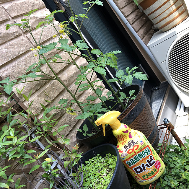 mocoさんの実例写真