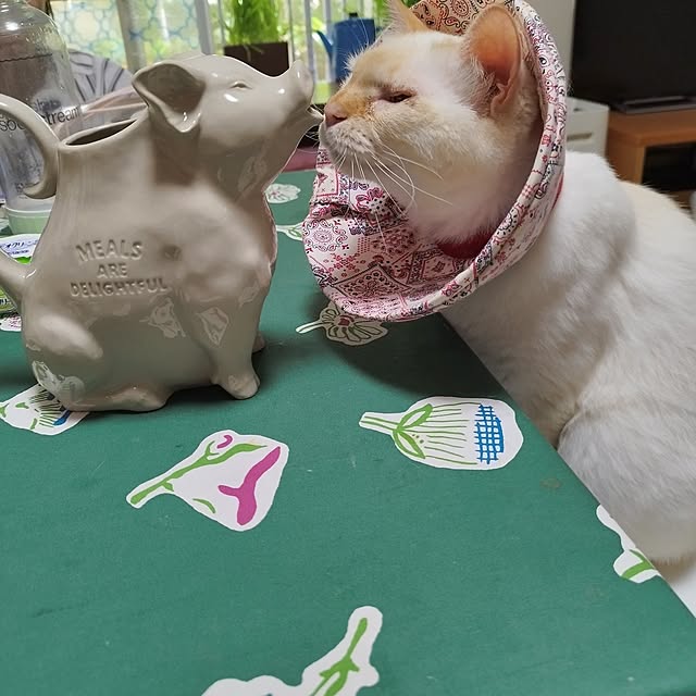 Yさんの実例写真
