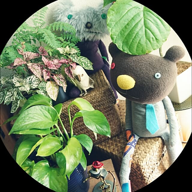 s.p.sunaoさんの実例写真