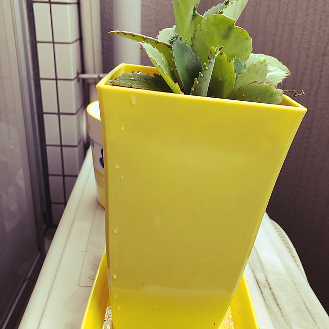 rainさんの実例写真