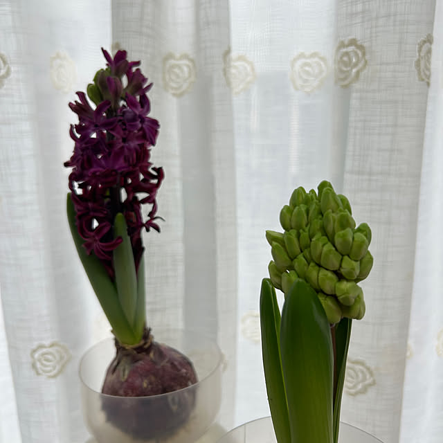 fumikoiさんの実例写真