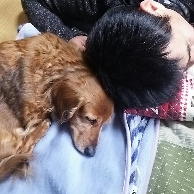 ricoさんの実例写真