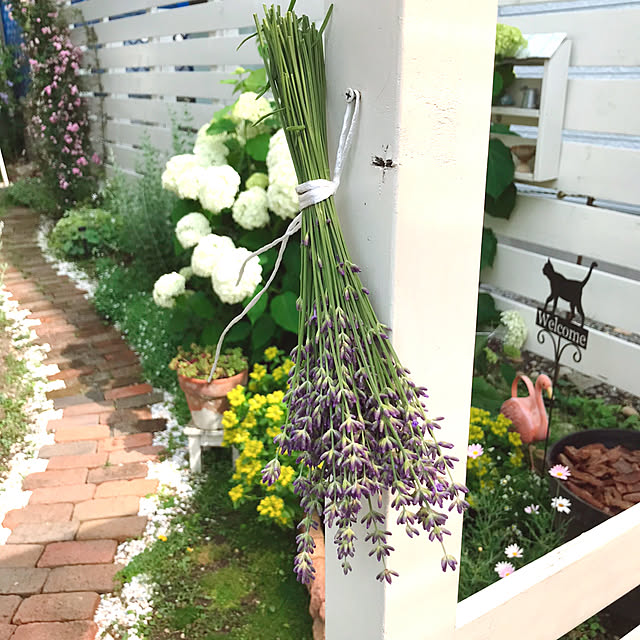 kotoriさんの実例写真