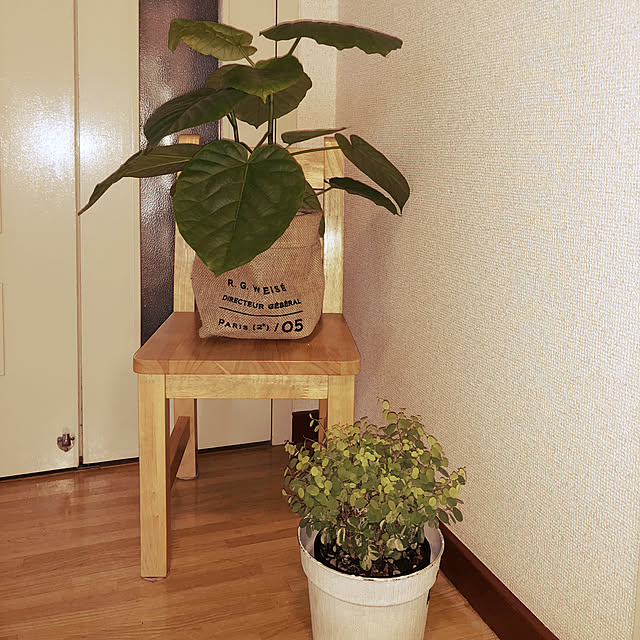 husahusaさんの実例写真