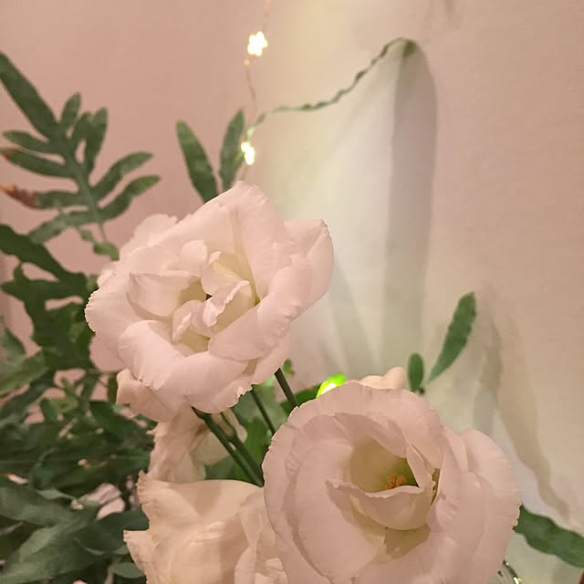 mymmymmymさんの実例写真
