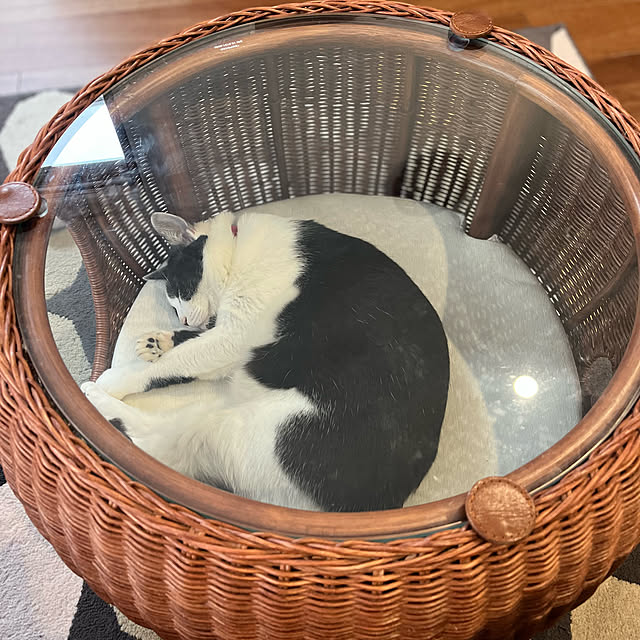 ton.さんの実例写真