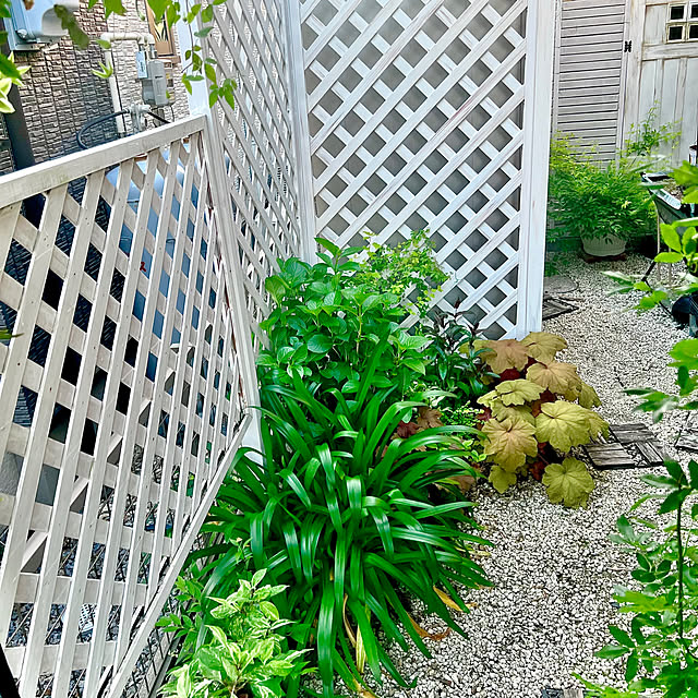 hinamamaさんの部屋