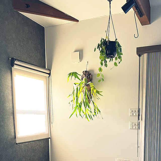 mysnhr10さんの実例写真