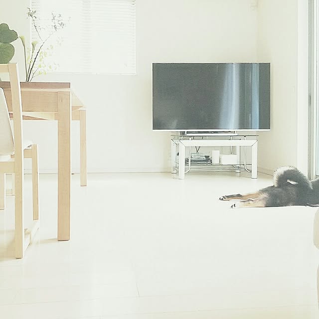 mayuさんの実例写真