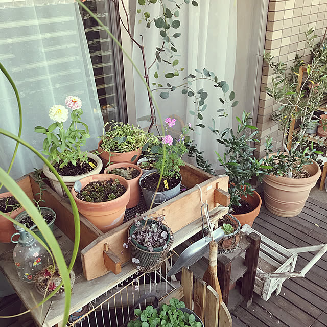 anaberuさんの実例写真