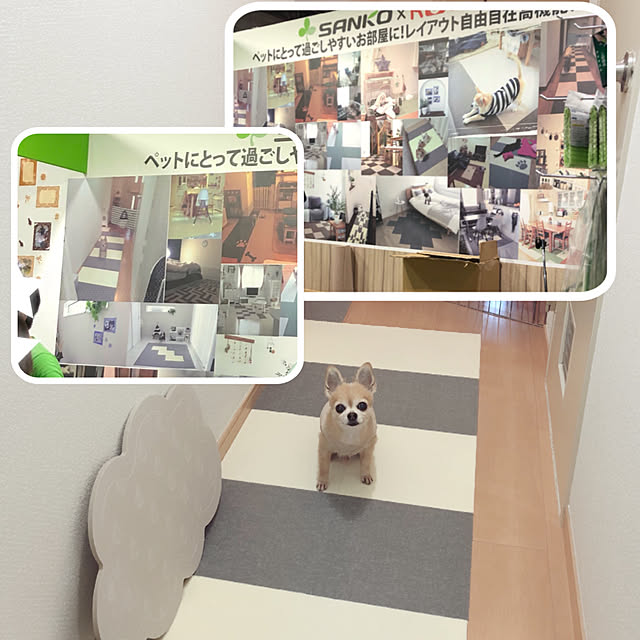 Emiさんの実例写真