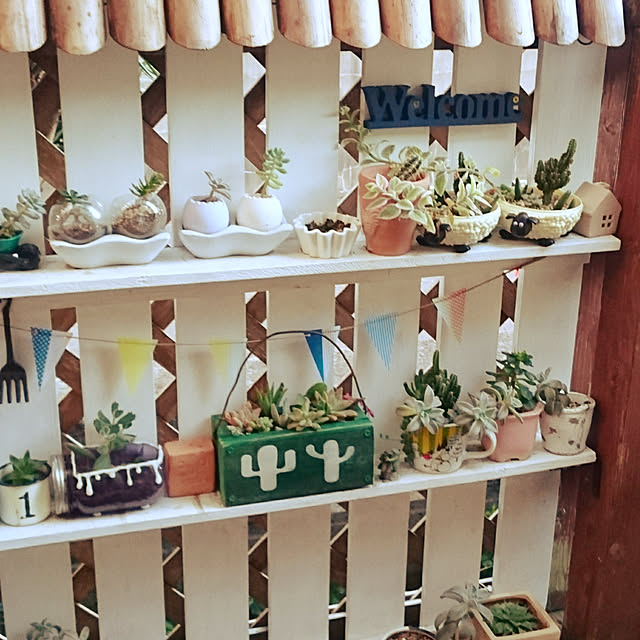 maiさんの実例写真