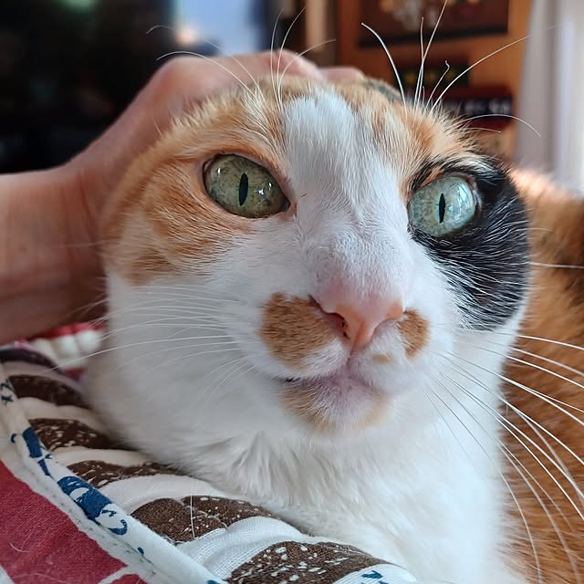 nanaさんの部屋