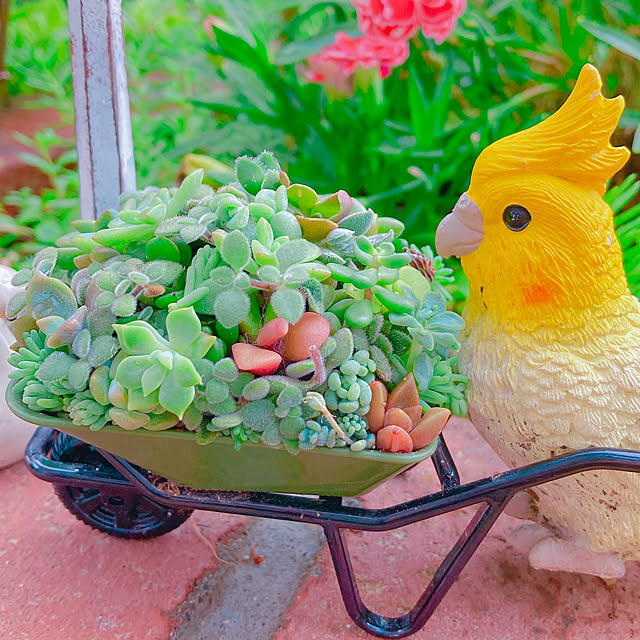 Hanakaさんの実例写真