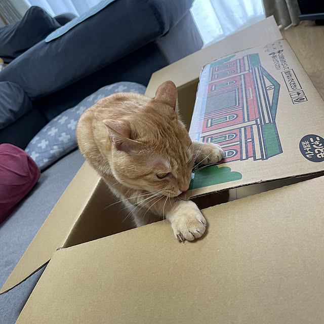 chiiさんの部屋