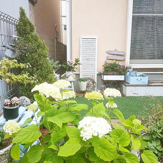 YUKKIさんの実例写真