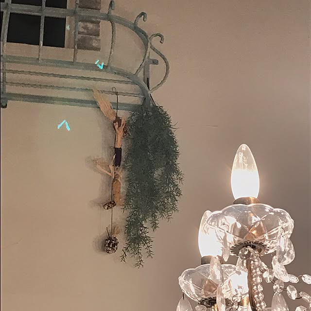 OldTreeさんの実例写真