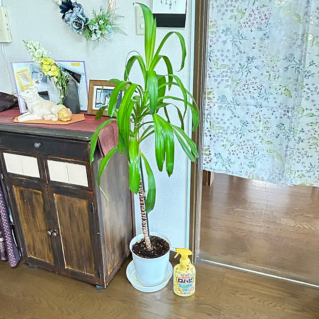 ritsukoさんの部屋